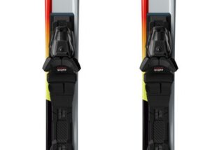Salomon S/Max Endurance + M10 GW
